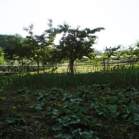 Azienda Agrituristica Colle San Giorgio Фермерский дом
