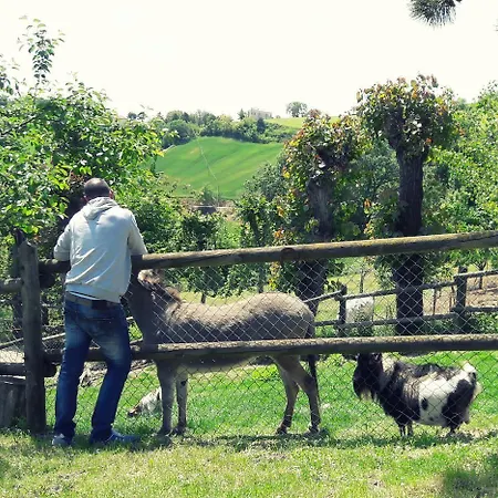 Farm stay Azienda Agrituristica Colle San Giorgio Castiglione Messer Raimondo