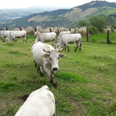Azienda Agrituristica Colle San Giorgio Farm stay