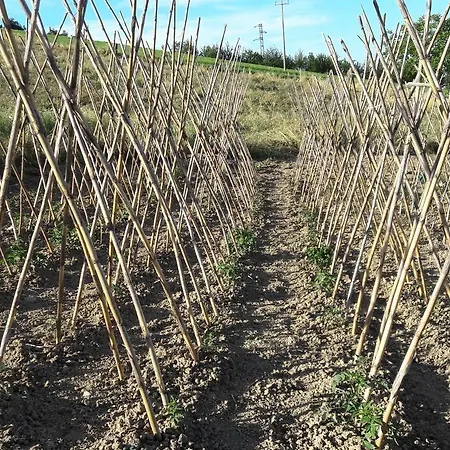 Azienda Agrituristica Colle San Giorgio Gospodarstwo agroturystyczne *