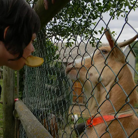 Séjour à la ferme Azienda Agrituristica Colle San Giorgio