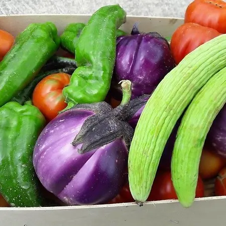 Azienda Agrituristica Colle San Giorgio