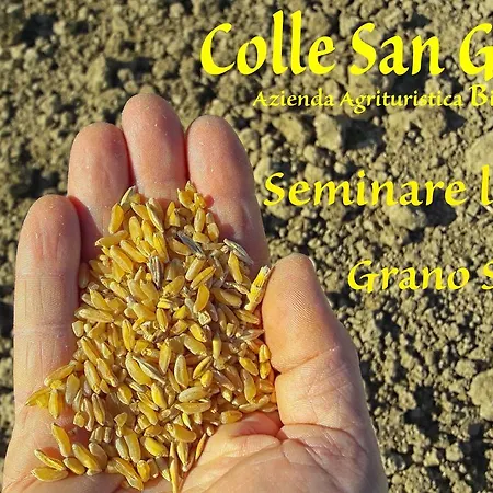 Azienda Agrituristica Colle San Giorgio * Castiglione Messer Raimondo