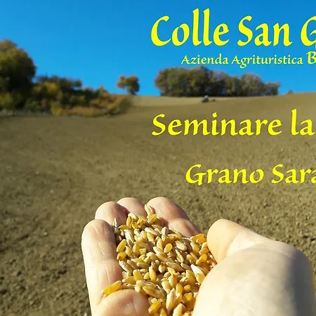 Azienda Agrituristica Colle San Giorgio Castiglione Messer Raimondo