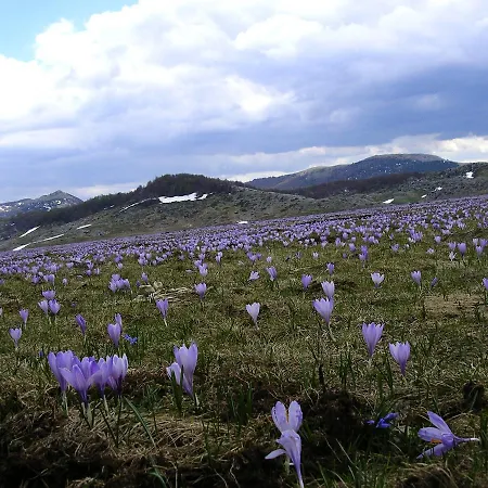 Azienda Agrituristica Colle San Giorgio Séjour à la ferme *
