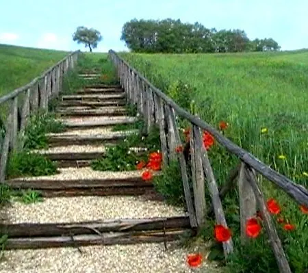 Azienda Agrituristica Colle San Giorgio Farm stay *