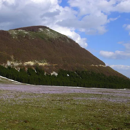 Azienda Agrituristica Colle San Giorgio