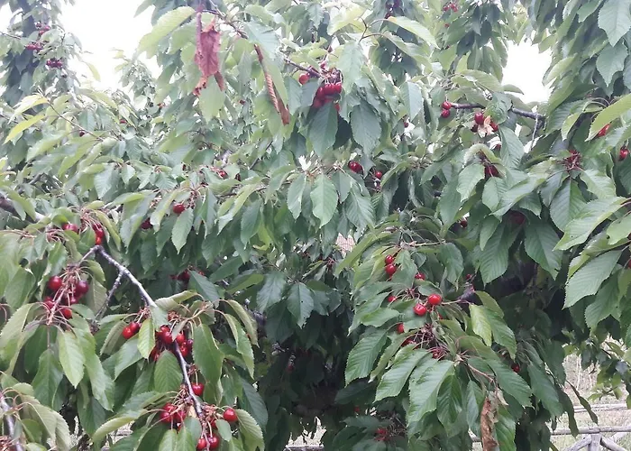 Farm stay Azienda Agrituristica Colle San Giorgio *