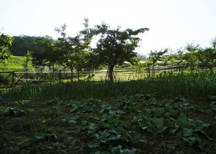 Azienda Agrituristica Colle San Giorgio Farma