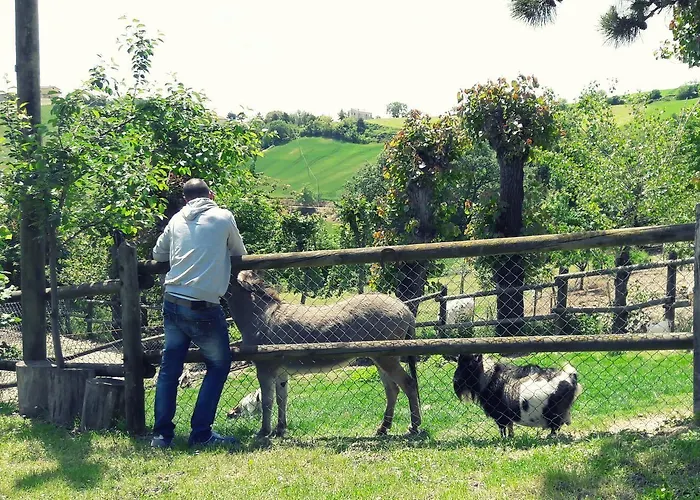 Farm stay Azienda Agrituristica Colle San Giorgio Castiglione Messer Raimondo
