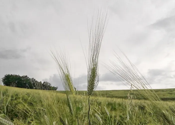 Azienda Agrituristica Colle San Giorgio Castiglione Messer Raimondo