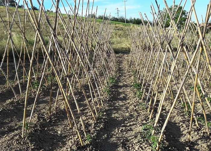 Azienda Agrituristica Colle San Giorgio Farm stay *