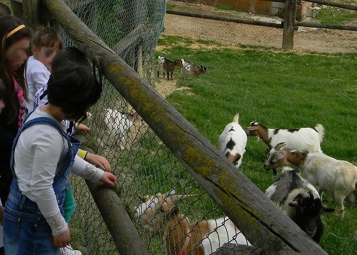 Azienda Agrituristica Colle San Giorgio