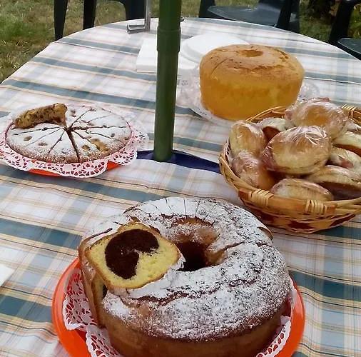 Farm stay Azienda Agrituristica Colle San Giorgio