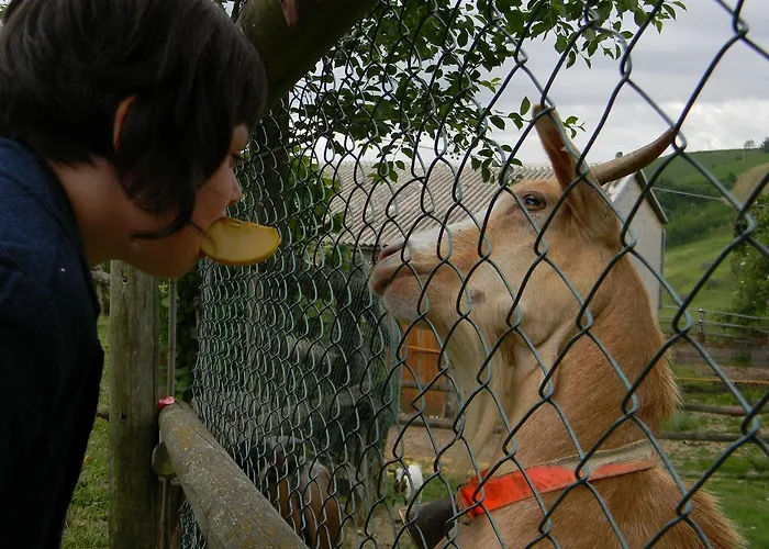 Farm stay Azienda Agrituristica Colle San Giorgio