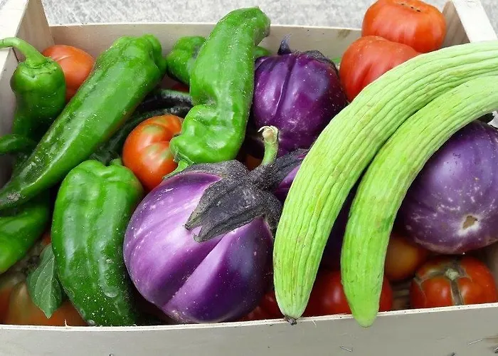 Azienda Agrituristica Colle San Giorgio