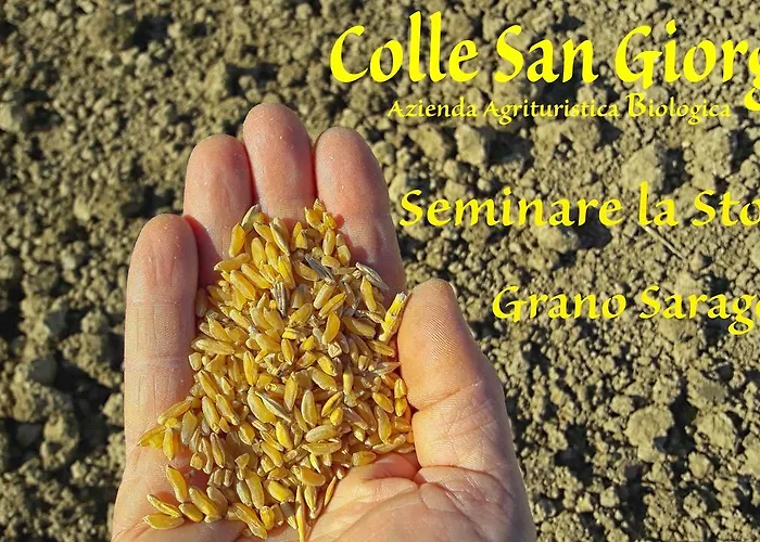 Azienda Agrituristica Colle San Giorgio * Castiglione Messer Raimondo