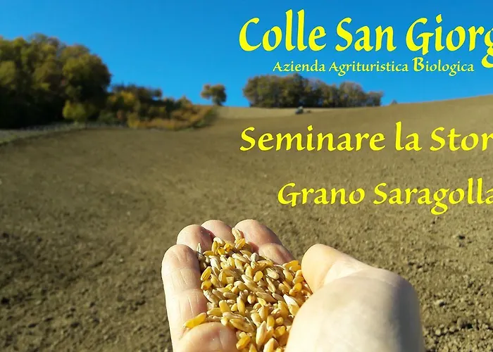 Azienda Agrituristica Colle San Giorgio Castiglione Messer Raimondo