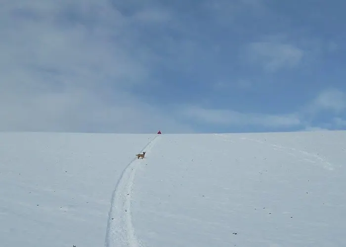 Farm stay Azienda Agrituristica Colle San Giorgio Castiglione Messer Raimondo