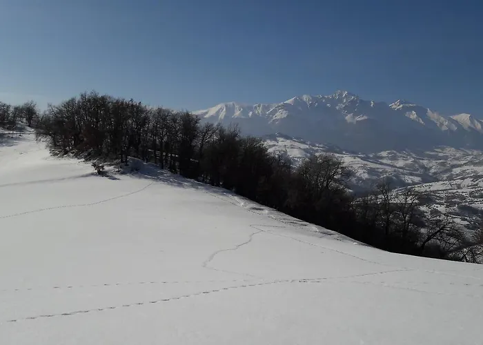 Farm stay Azienda Agrituristica Colle San Giorgio *