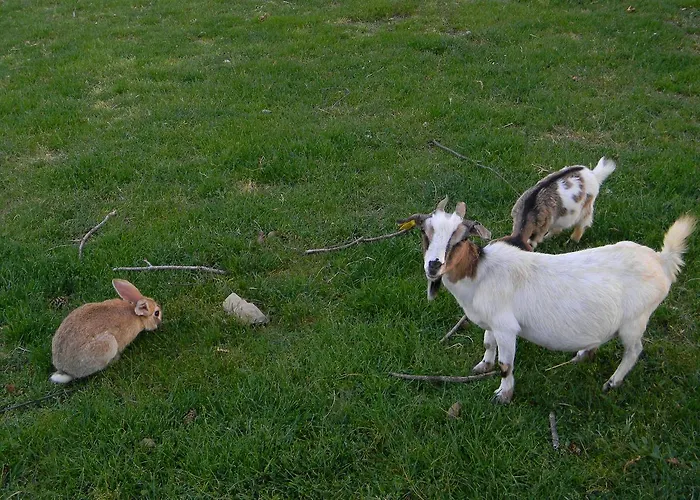 Azienda Agrituristica Colle San Giorgio