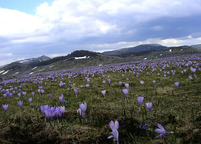 Azienda Agrituristica Colle San Giorgio Farm stay *