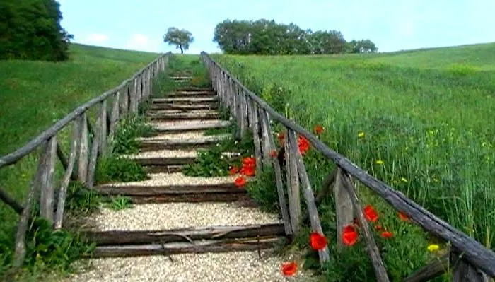 Azienda Agrituristica Colle San Giorgio Farm stay *