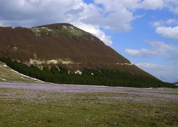 Azienda Agrituristica Colle San Giorgio